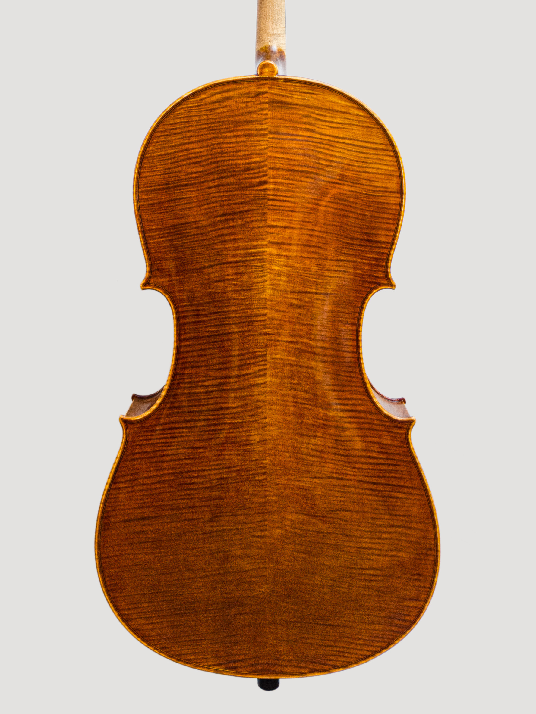 Cello 2019