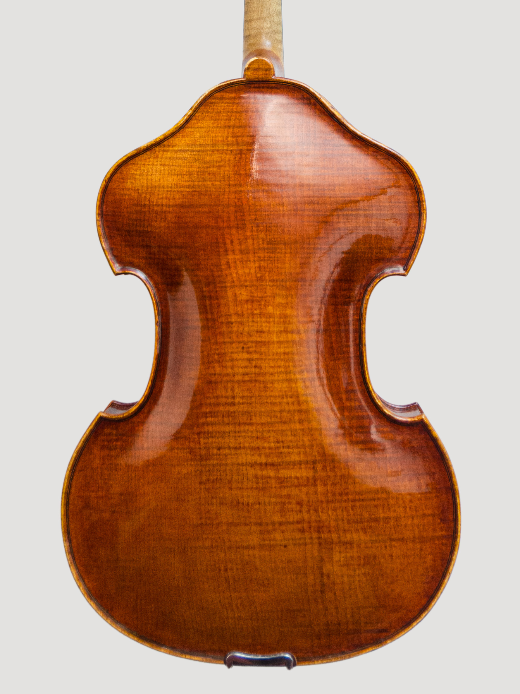 Viola 2017