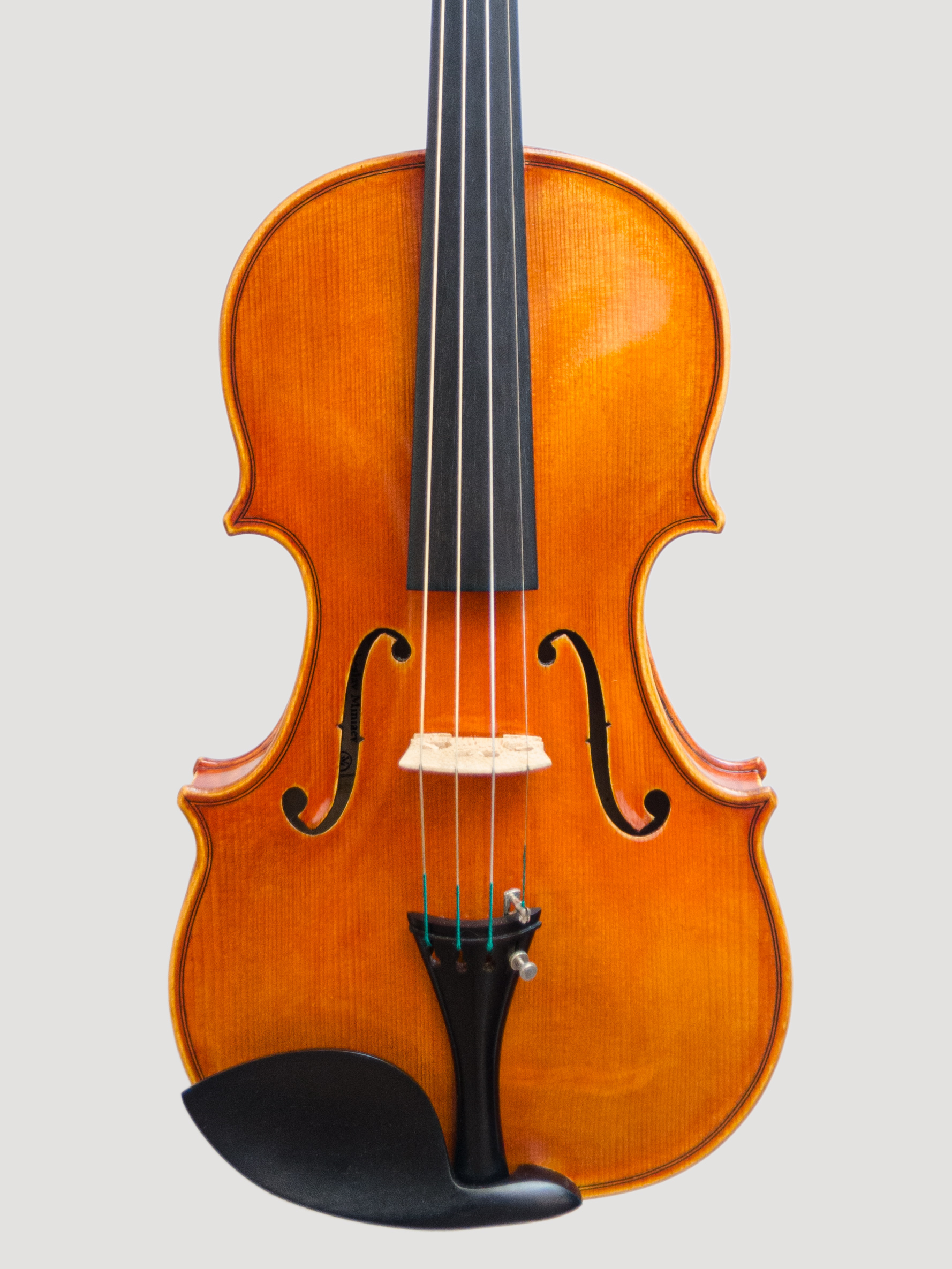 Violin 2013 (I)