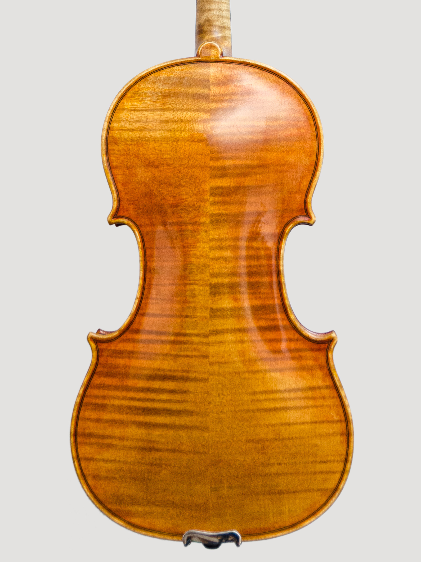 Violin 2013 (II)