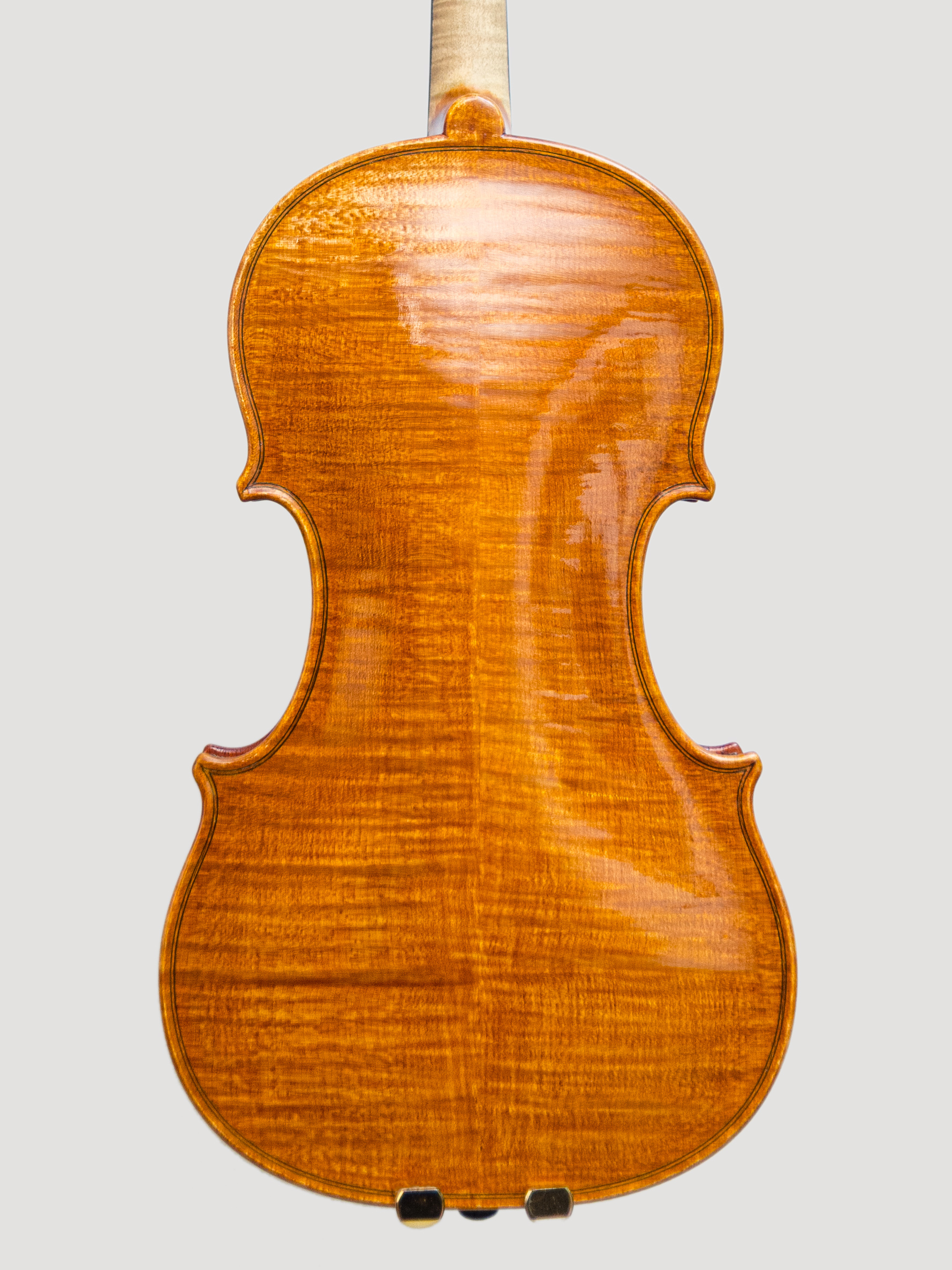 Violin 2015